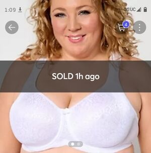 Breezies Seamless Underwire Bra